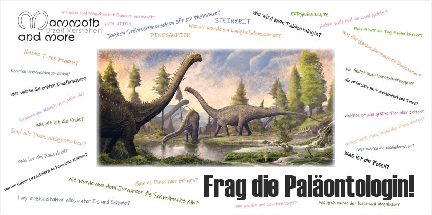 Arbeit in der Ausstellungkonzeption